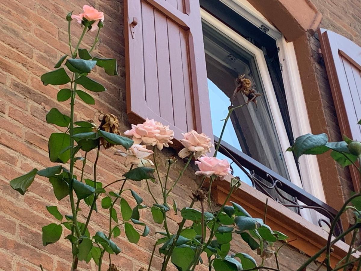 Casina Delle Rose Apartment Bologna Ngoại thất bức ảnh